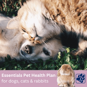 Light coloured dog and tabby cat laying together plus a purple banner with a rabbit, blue pawprint and the words Essentials Pet Health Plan for dogs, cats and rabbits
