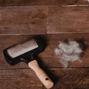 A pet brush on a wooden floor with a clump of fur