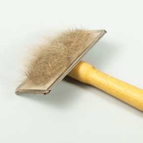 Pet brush with hair on