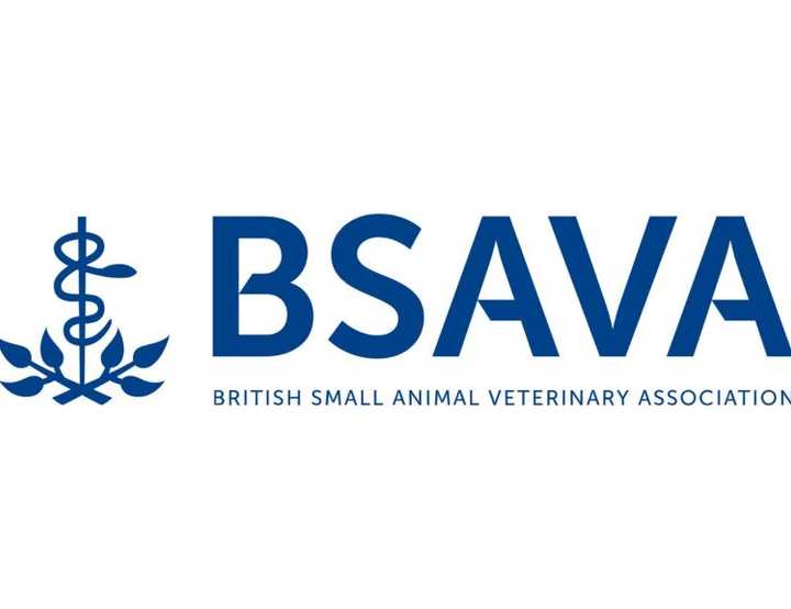 BSAVA logo